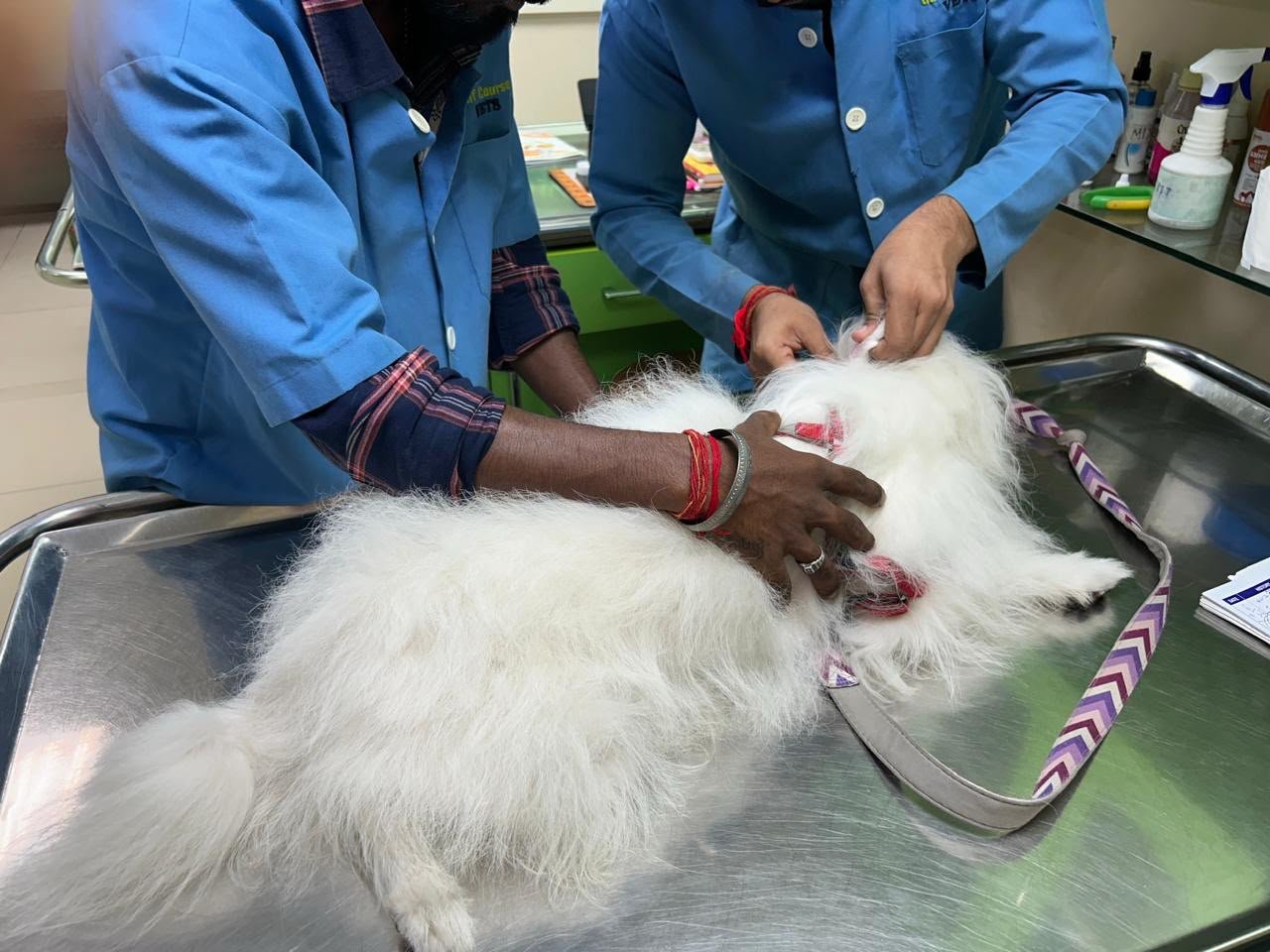 Golf Course Vets clinic and pet care
